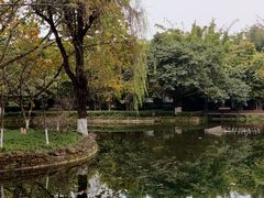 -望江楼公园