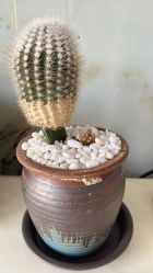 -HEYAN荷妍专业脱毛连锁机构
