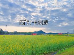 -光明小镇欢乐田园