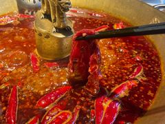 -小龙翻大江文化火锅(宽窄店)