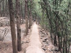 -云龙山