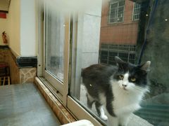 -嘉华海鲜酒家(龙津中路店)