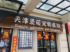 -美联众合宠物医院·爱萌分院·内外科·猫科中心