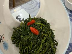 养生枸杞苗-老毛手抓·盐池滩羊非遗手抓(宁夏总店)