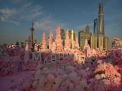 -迈瑞米求婚策划(静安店)