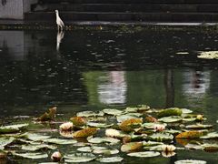 -星巴克(西湖天地店)