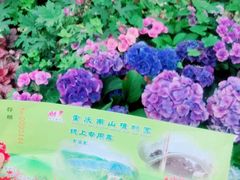 -南山植物园