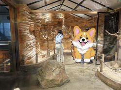 -造物庄园 萌宠纪(苏州湾歌林公园店)