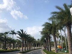 -三亚海昌梦幻海洋不夜城