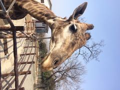 秦岭野生动物园-西安秦岭野生动物园