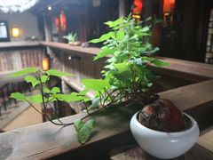 -普洱茶府(博乐广场店)