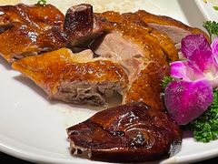 -高第街56号餐厅(泰安万达店)