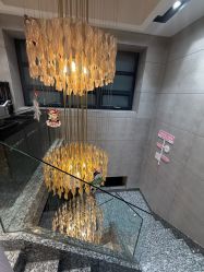 -Z.X HAIR SALON张新美业