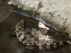 -哈尔滨北方森林动物园