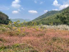 -会稽山峡洞漂流-上青古道