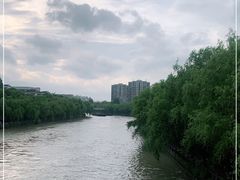 -运河游船(武林门码头)