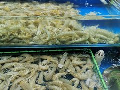 -三旗百汇商品城