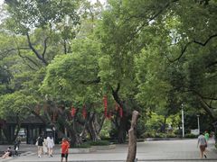 -荔湾湖公园