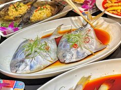 -京悦南门涮羊肉·羊蝎子火锅(田林路店)