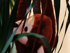 -波比Pizza(新城店)