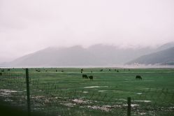 -纳帕海依拉草原