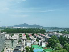 -湖影中餐厅·南京金茂威斯汀大酒店