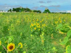 -云漫湖生态度假公园