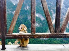 -重庆云阳龙缸景区