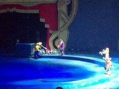 -珠海横琴长隆《卡卡虎奇遇记》