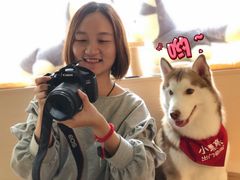 -Husky Go! 哈士奇体验馆·宠物咖啡厅狗咖