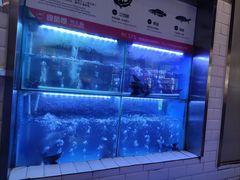-彼酷哩活鱼现烤(中原万达店)