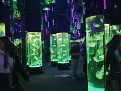 -成都浩海立方海洋公园