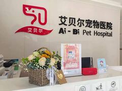 -艾贝尔宠物医院 ·中兽医·宠保定点(北门桥店)