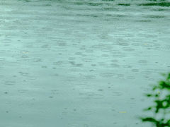 -浮庄
