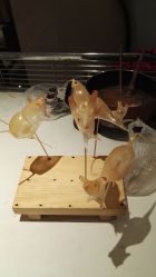-北京七彩云南翡翠珠宝旗舰店(月坛店)
