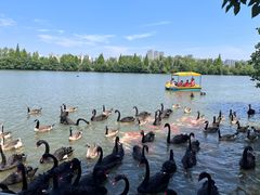 -艾溪湖湿地公园