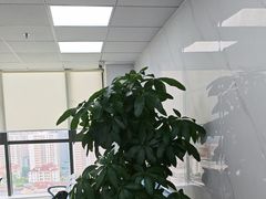 -华硕笔记本电脑售后维修(华博科技大楼店)