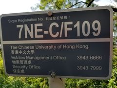 -大埔公路-马料水段香港中文大学(公交站)