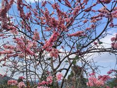 -墨江北回归线标志园