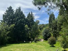 -云南师范大学(一二一西南联大校区)