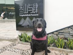 -叁山与肆客服号民宿(龙泉阳光城百工堰公园店)