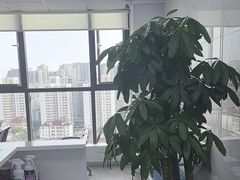 -戴尔笔记本电脑服务器售后维修中心(虹口足球场店)