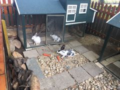 -惠州金海湾嘉华度假酒店