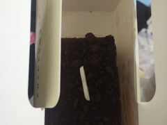 -思味特(纬一路店)