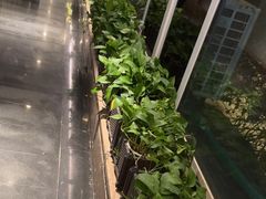 -一澜江宴·江景地标楚菜(江滩公园店)