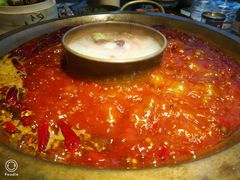 -王婆乔鲜鱼自助火锅(蜀汉路店)