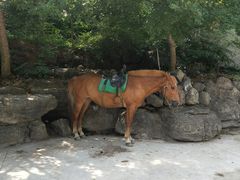 -孤山寨风景区
