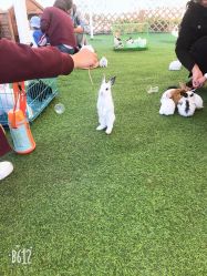 -萌宠亲子动物乐园(槐房万达店)