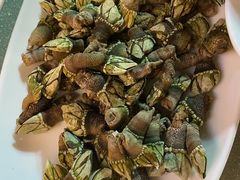 -舌尖上·霞浦滩涂海鲜·新闽菜(总店)