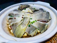 砂锅焗黄花鱼-1937青岛老味道·海肠捞饭·青岛菜(大鲍岛栈桥店)